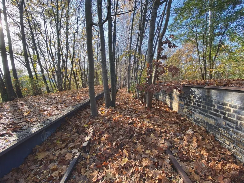 screenshot of the project