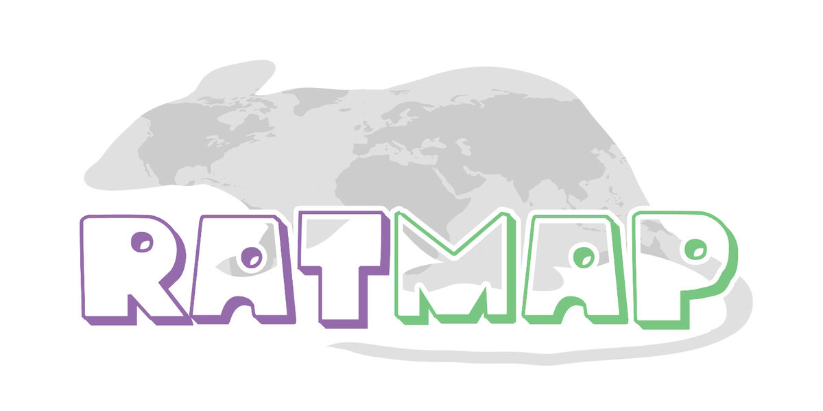 screenshot of the project